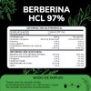 Quotidien | Berberina HCL 97% | 500mg de Berberina Clorhidrato,