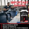 Balincer Ginseng Rojo Coreano Cápsulas Nutricionales 1650mg