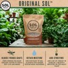 Sol Soils Original Sol Soil Topper – Decorative Rocks for