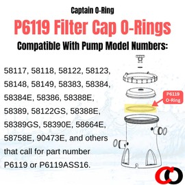 Captain O-Ring Replacement P6119 (P6119ASS16) O-Ring for Bestway Flowclear Pump Filter Cap Cover (2 Pack) [See Details for Compatible Filter Models]