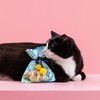 Fringe Studio Plush Cat Toy, Clownin' Around Kicker, Pet Shop