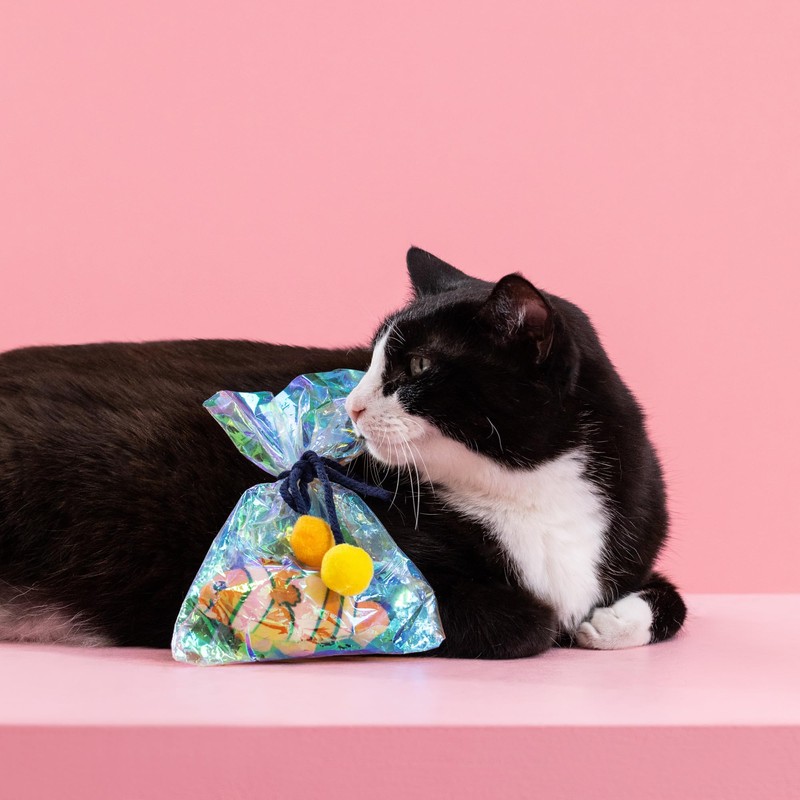 Fringe Studio Plush Cat Toy, Clownin' Around Kicker, Pet Shop