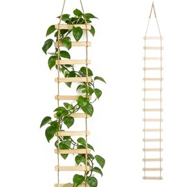 MAZUBOHOY Wooden Plant Support Trellis for Climbing Plants, 6ft Large Tall Plant Ladder Home Decor for Indoor Outdoor Pothos, Vines, Lvy, Monstera