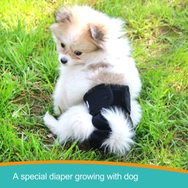 Paw Legend Reusable Female Dog Diapers, Pack of 3