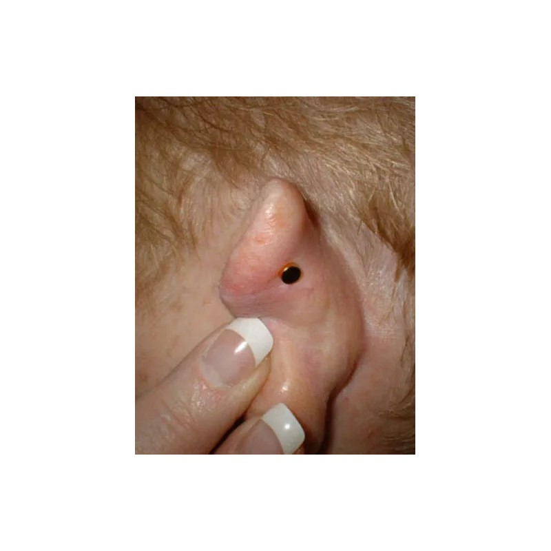 USA Seller Remote Work Stress Relief Ear Magnets 1 New