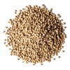Food to Live - Whole Coriander Seeds, 8 Ounces Non-GMO