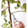 Takagi Stainless R Blade Pruning Shears with Main Blade 7.9
