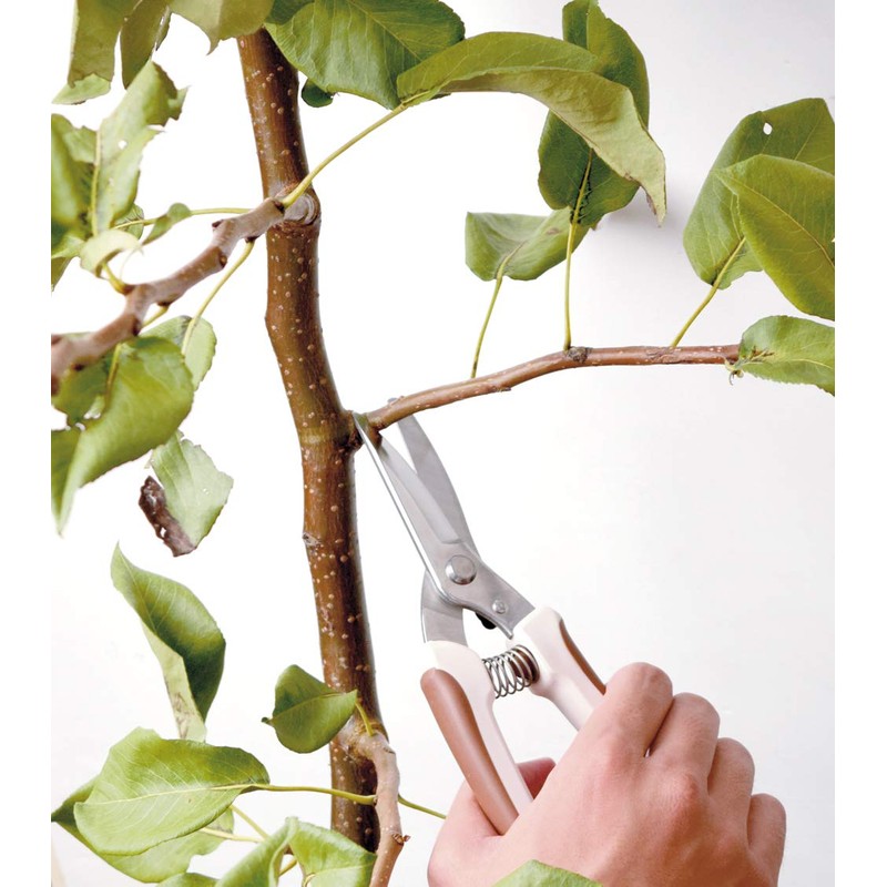 Takagi Stainless R Blade Pruning Shears with Main Blade 7.9