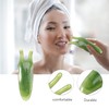Nose Guasha Massage Tools Anti-Static,Eyes Facial Wood Gua Sha Tool,face