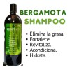 Kit Bergamota: Shampoo, Tratamiento, Aceite, Acondicionador