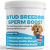 Stud Dog Breeding Supplement – Promotes Sperm Quality, Count &