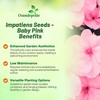 Outsidepride Impatiens Baby Pink Flower Seeds - 1000 Pcs Annual,