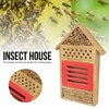 Encourages Bees and Other Insects to Live and in Your