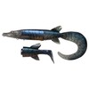 Hybrid Pike 6 3/4" 1 1/2oz S BSP-Blue Silv Pike
