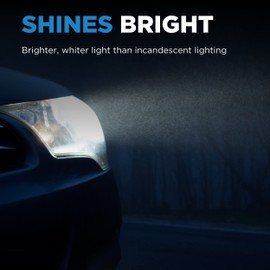 Wagner Lighting 9007 Standard Multi-Purpose Light Bulb Box of 1