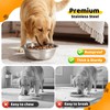URPOWER 2 Pack 8" Stainless Steel Dog Bowls,Replacement for Elevated