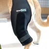 Ortocanis - Knee Brace for Dogs with Ligament Rupture and