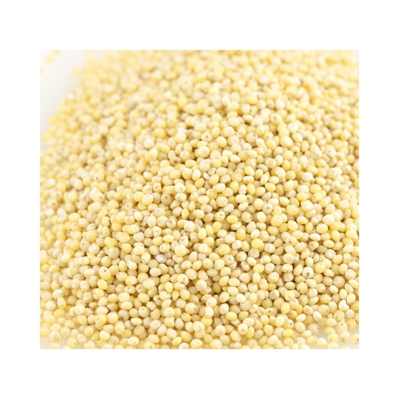 Multiple Organics Organic Hulled Millet, Bulk 25 Lb. Bag