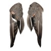 Complete Duck Wings per Pair (#1 Grade Pintail Wings)