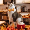 Thanksgiving Cat Collar Bow tie with Bell, Fall Holiday Turkey