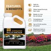 Dominator Mulch Anchor 1 Gallon - Mulch Glue & Gravel
