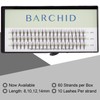 BARCHID False Eyelashes, Natural False Eyelash Extensions, For Flare Self,