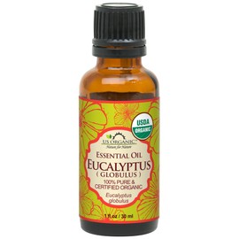 US Organic 100% Pure Eucalyptus Essential Oil (Globulus) - USDA Certified Organic, Steam Distilled - W/Euro droppers (More Size Variations Available) (30 ml / 1 fl oz)
