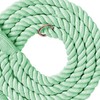 Handcrafted Dog Leash Multifunctional Double Head Braiding Dog Training Leash