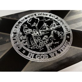 Laser US Flag & Diamond Etched Florida FL State Car Tag Front License Plate Gift
