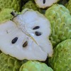 12 Sugar Apple Tree Seeds, Sweetsop Fruit Seeds, Sugar Apple