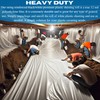 VBS - Crawl Space Vapor Barrier - 12 mil -