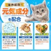 PETLINKMORE Lactic Acid Bacteria Pet Supplement for Cats, Made in