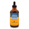 Herb Pharm Herb Pharm Jamaica Dogwood Liquid Extract for Minor Pain - 4 Ounce