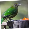 Hohopeti Pigeons Leg Rings 100 Pack Plastic Clip Rings for