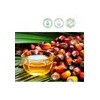 Aceite De Batana For El Crecimiento Del Cabello Con