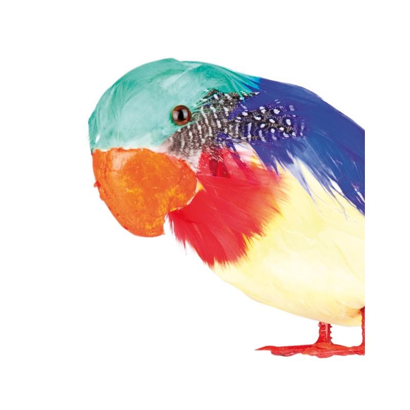 Boland - Parrot Decoration, Multicoloured, 52354