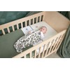 Meyco 564201 2-Pack Fitted Sheet, Cot, Offwhite