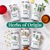 The Republic of Tea — Organic Indian Ginger SuperHerb Tea