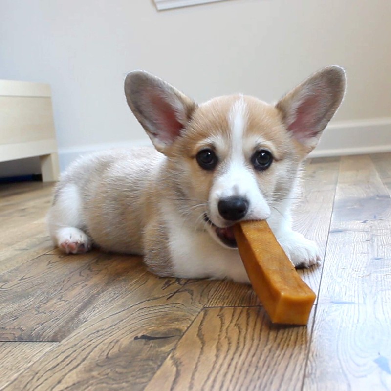 Downtown Pet Supply Himalayan Yak Dog Chew, 2 lb