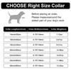 Gold Dog Collar Chain with Pendant Tag,Stainless Steel Walking Metal