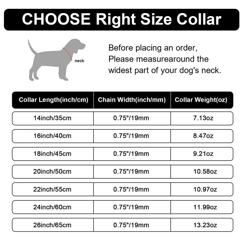 Gold Dog Collar Chain with Pendant Tag,Stainless Steel Walking Metal