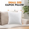 Cheer Collection Set of 2 Organic Kapok Pillows, Natural Kapok