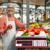 CAMRY Price Computing Scale Commercial Food Scale 66lb / 30kg