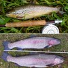 YZD Realistic Trout Hand Tie Fly Fishing Flies Collection Dry
