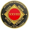 Simply Minimal 28 Year NA Gold Color Plated-Medallion, Recovery Chip,