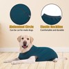 Axcimond Dog Recovery Suit Dog Onesie After Surgery Female Male