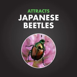 Spectracide Bag-A-Bug Japanese Beetle Trap Replacement Bags, 6 Count, Bag Refills (Pack of 3)