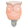 Whoot Nightlight Scentsy Warmer