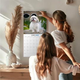 2025 Shih Tzu Calendar - Dog Breed Wall Calendar - 12 x 24 Open - Thick No-Bleed Paper - 14 Month Planner Calendar Organizing & Planning