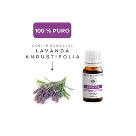 Aceite Esencial de Lavanda Angustifolia Puro |Grado Terapéutico |Promueve la sensación de relajación y bienestar|Difusor + Uso Tópico | Aceite de 1º Destilación | Gotero de 11ml|Aromaterapia Árbora